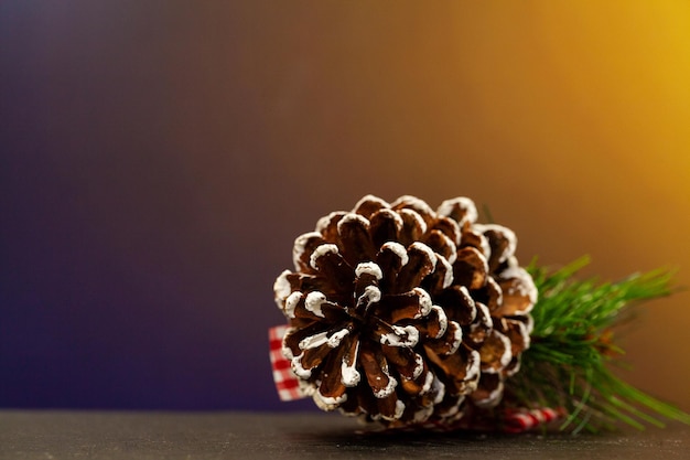 Pine cone with place for text on Christmas background.