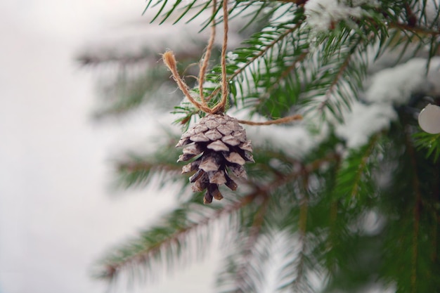 Pine cone with rope on christmas tree snow and winter time christmas wallpaper spruce branches