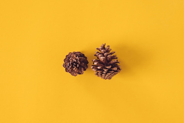 Pine cone on yellow background, Christmas decoration.