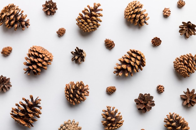 pine cones on colored table. natural holiday background with pinecones grouped together. Flat lay. Winter concept.