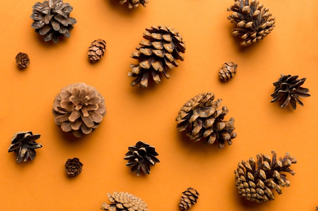 Pine cones on colored table natural holiday background with pinecones grouped together Flat lay Winter concept