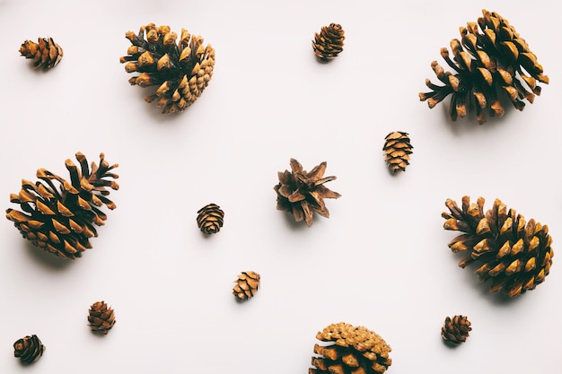 Pine cones on colored table natural holiday background with pinecones grouped together Flat lay Winter concept