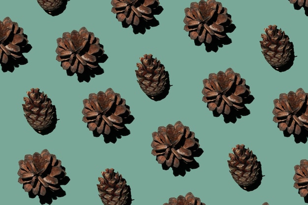 Pine cones on a green background pattern