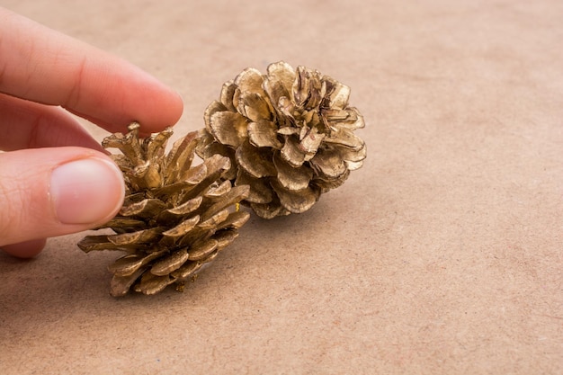 Pine cones in hand on a brown background