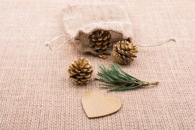 Pine cones out of sack on a canvas