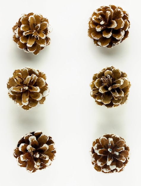 Photo pine cones on white background top view