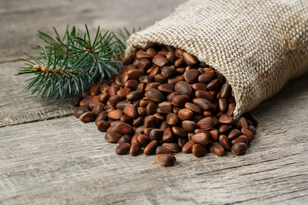 Pine nuts in a bag of burlap with a fir green branch. In country style.