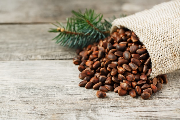 Pine nuts in a bag of burlap with a fir green branch. In country style.