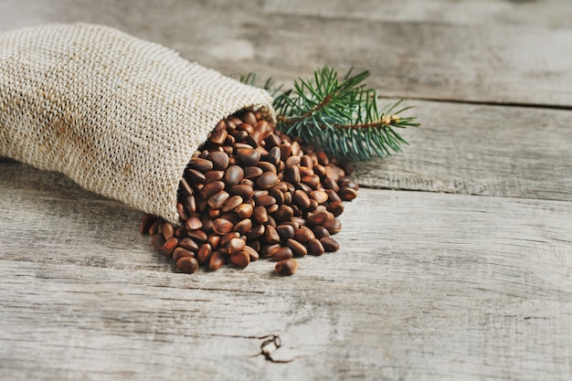 Pine nuts in a bag of burlap with a fir green branch. In country style.