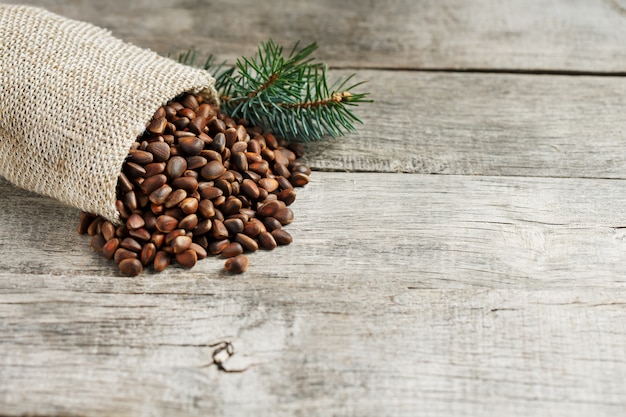 Pine nuts in a bag of burlap with a fir green branch. In country style.