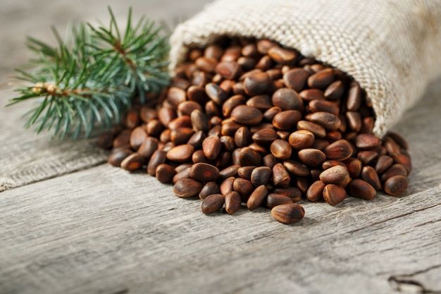 Pine nuts in a bag of burlap with a fir green branch. In country style.