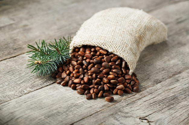 Pine nuts in a bag of burlap with a fir green branch. In country style.