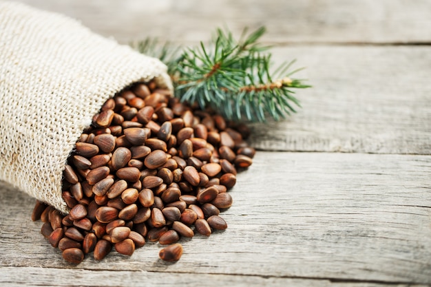 Pine nuts in a bag of burlap with a fir green branch. In country style.