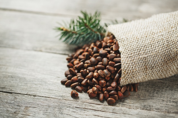 Pine nuts in a bag of burlap with a fir green branch. In country style.