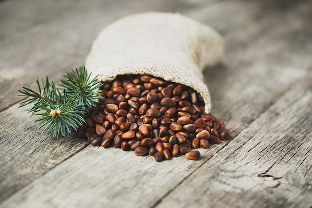 Pine nuts in a bag of burlap with a fir green branch. In country style.