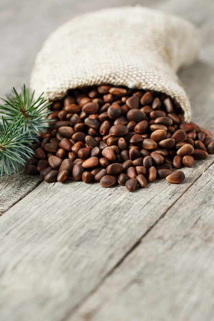 Pine nuts in a bag of burlap with a fir green branch. In country style.