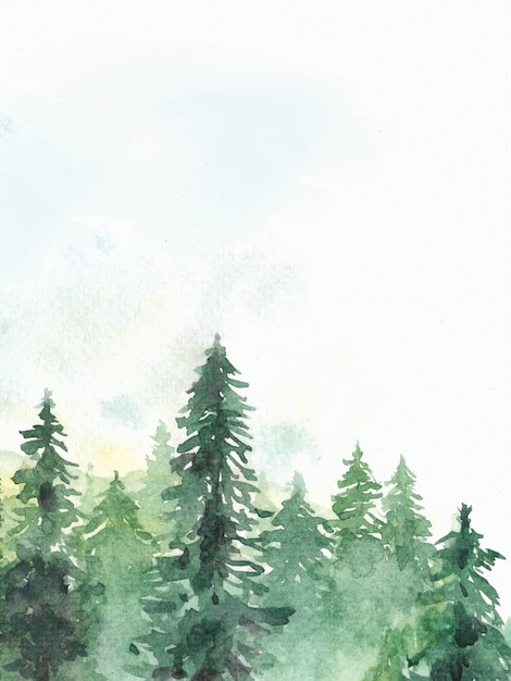 Pine tree forest and mountain view nature watercolor painting on paper texture