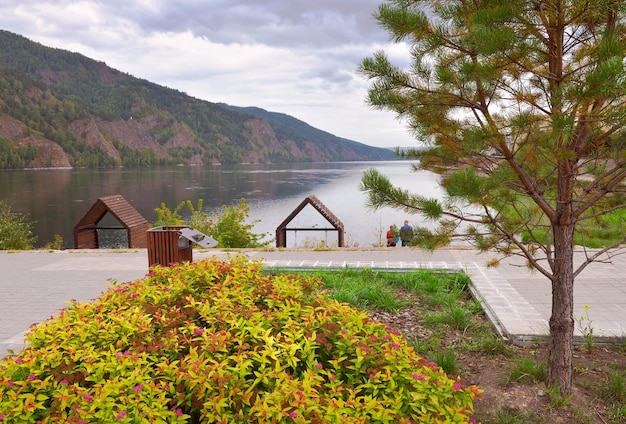 Pine trees and ornamental shrubs on the banks of the big Siberian river with rocky shores Divnogorsk