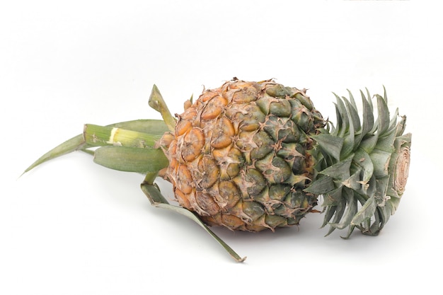 Pineapple are placed on a white background, Fruit are placed on a white background