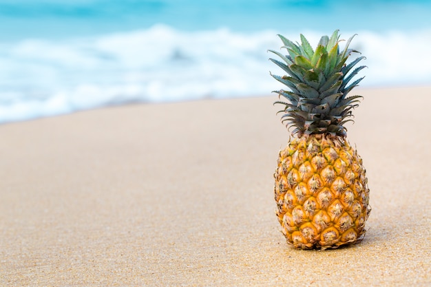 Pineapple on the background of the ocean