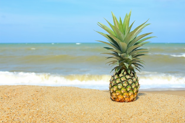 Pineapple on the beach with blue sky