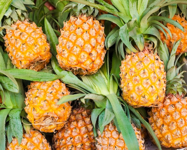 pineapple fruit background