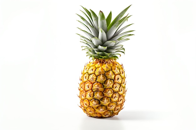 Pineapple fruit isolated on white background