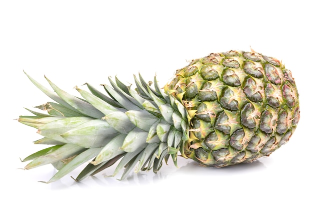 Pineapple fruit