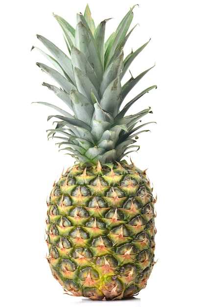 Pineapple fruit