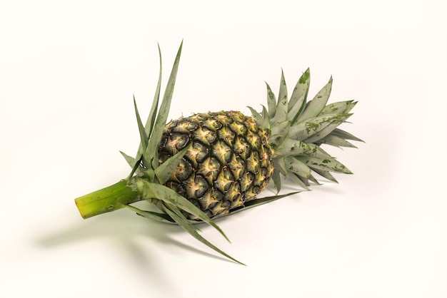 Pineapple is a fruit that has a sweet aromatic flavor and is very tasty