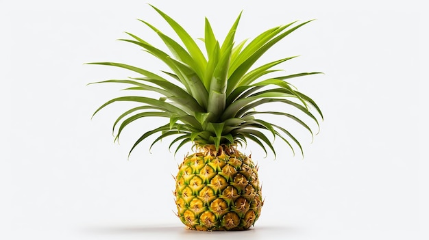 Pineapple Plant Isolated on Transparent Background