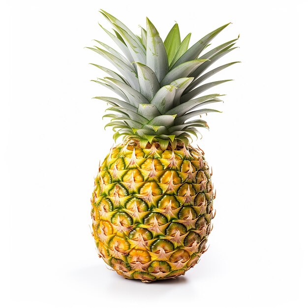 Pineapple on White Background No Shadow No Reflection