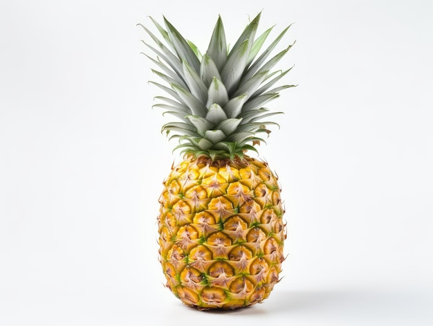 Pineapple on a white background