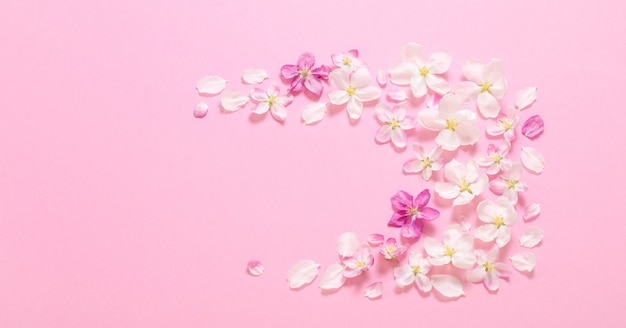 Pink apple flowers on pink surface