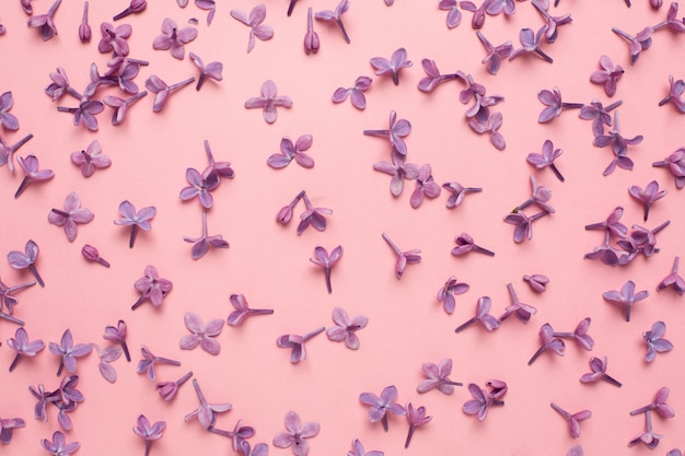 Pink background flat lay with lilac flowers. Fashion summer colour