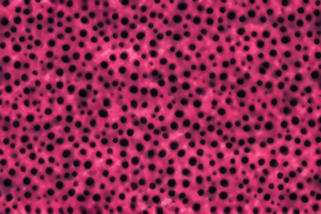 A pink background with many circles of different sizes.