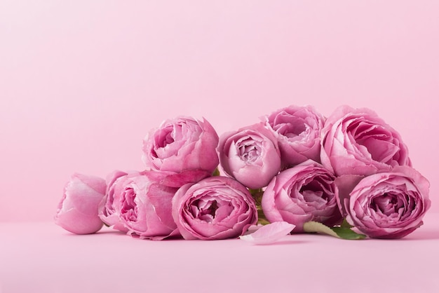 Pink background with roses and leaves