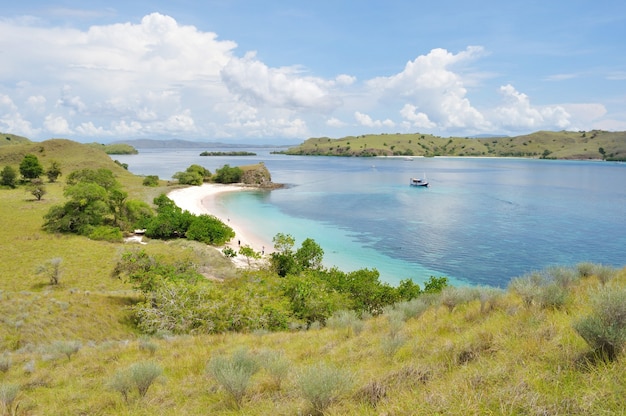 Pink Beach, one of tropical beach in Flores Island, Indonesia