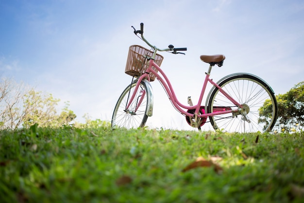 Pink bicycle in the park