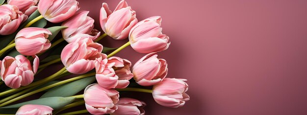 Pink Blooms of Spring Tulip Flowers on a Vibrant Background