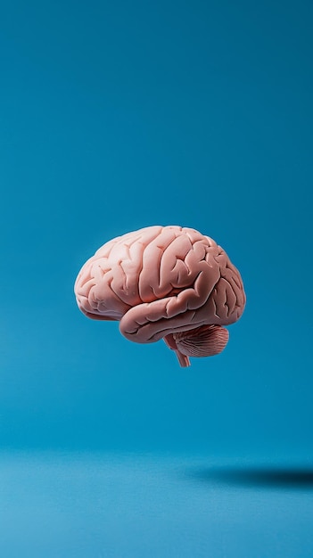 A pink brain floats against a solid blue background