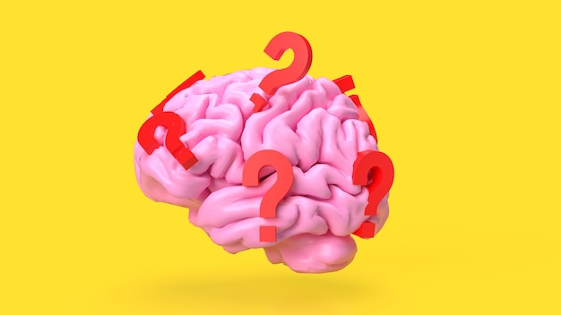 The pink Brain and red question mark for sci or education concept 3d rendering