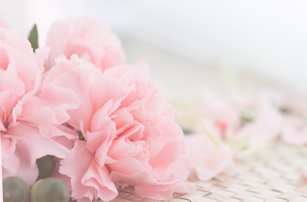 Pink Carnation Flowers Bouquet on light pink background soft filter