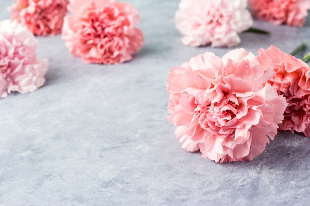 Pink carnation flowers on cement floor with copy space 