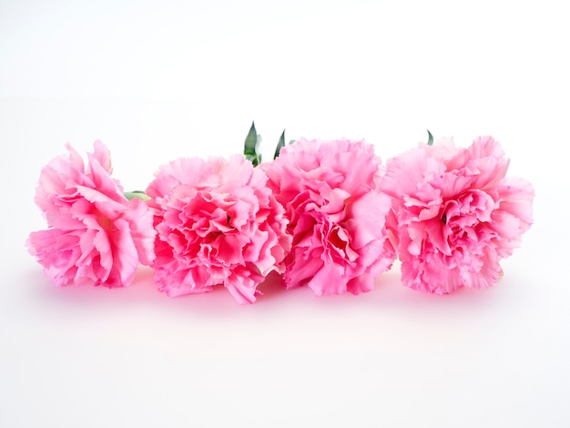 Pink carnations flower for Mother's day 