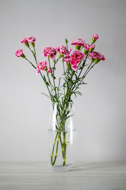 Pink carnations in a transparent vase on a gray background