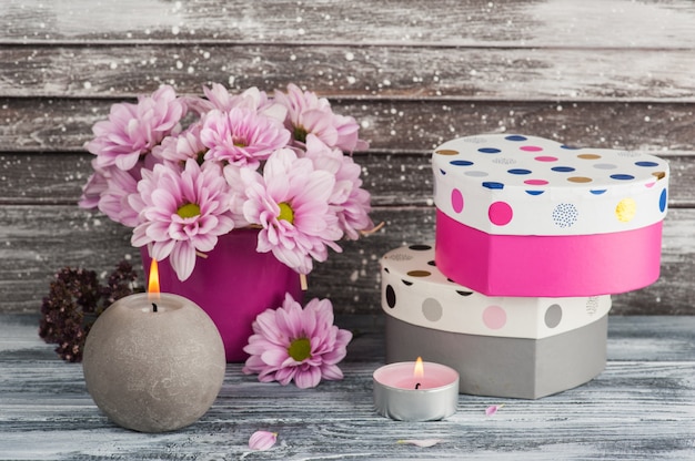 Pink chrysanthemum in concrete pot