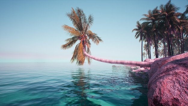 A pink flamingo is in the water with a palm tree in the background.