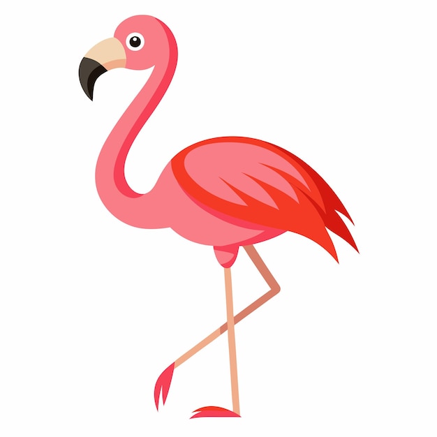 Photo a pink flamingo with a red beak is standing on a white background