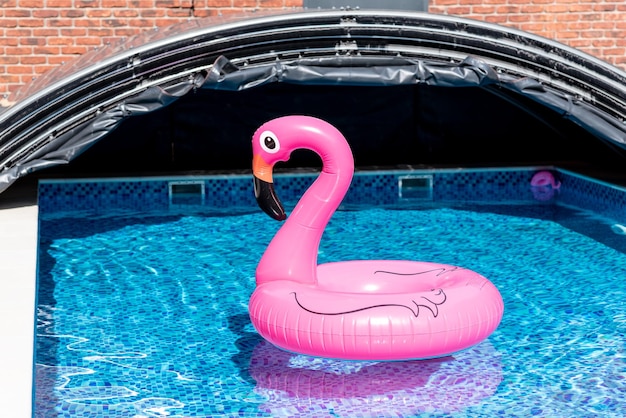 Pink flamingos in a pool with blue tiles In the rays of the sun Relax in the backyard of a country house